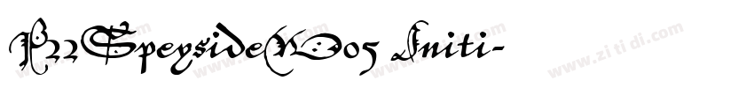P22SpeysideW05 Initi字体转换
